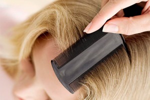 вычесывание вшей