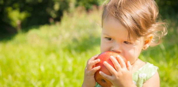 дизентерия признаки дизентерии у ребенка
