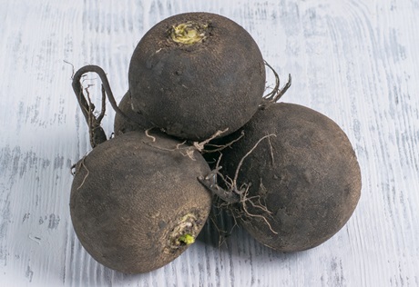 полезные свойства редьки чем полезна редька