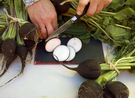 чем вредна редька вред овоща