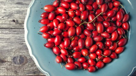 шиповник беременным