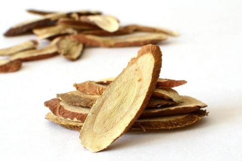 корни растения корень солодки