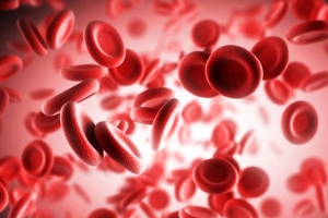 красные клетки крови тромбоциты