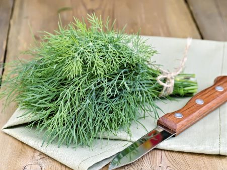 вред укропа