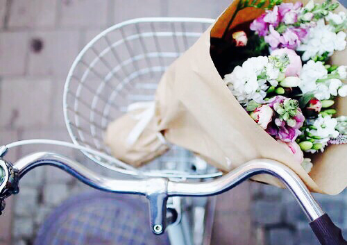 езда на велосипеде