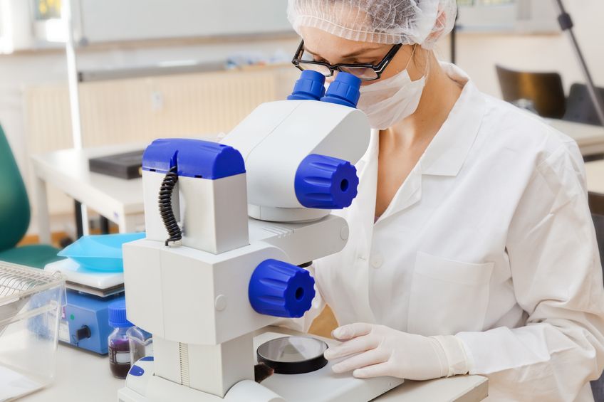 Биоматериал исследуется с помощью микроскопа на наличие лейкацитов