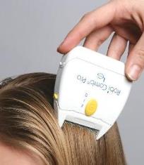 выводить вшей при беременности