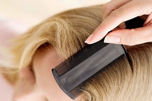 гребни для вычесывания вшей чем лечить вшей у беременных