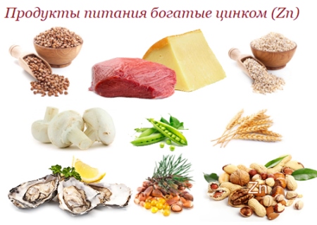 продукты с цинком в составе источники цинка